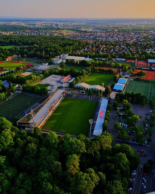 波鴻经历了 波鴻经历了